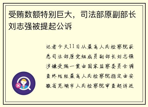 受贿数额特别巨大，司法部原副部长刘志强被提起公诉