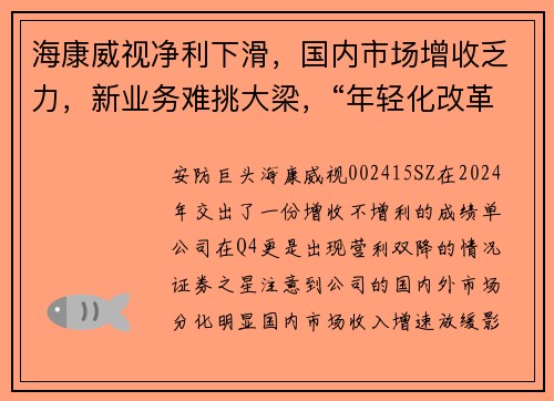 海康威视净利下滑，国内市场增收乏力，新业务难挑大梁，“年轻化改革”难掩颓势