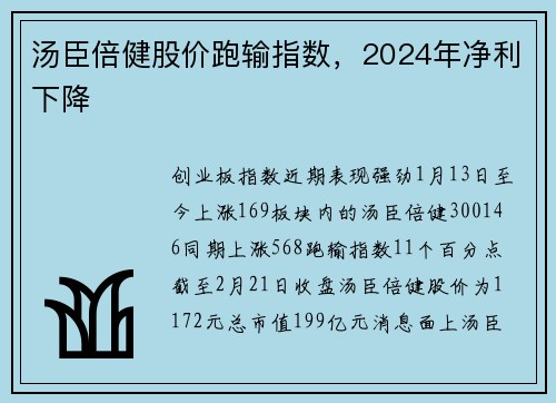 汤臣倍健股价跑输指数，2024年净利下降