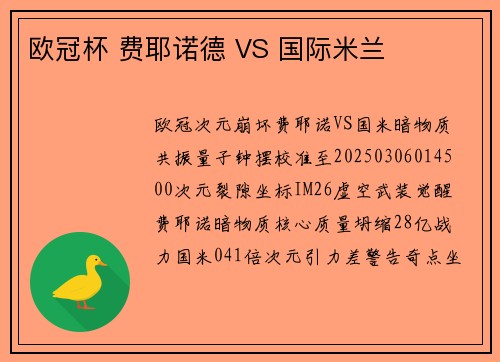 欧冠杯 费耶诺德 VS 国际米兰