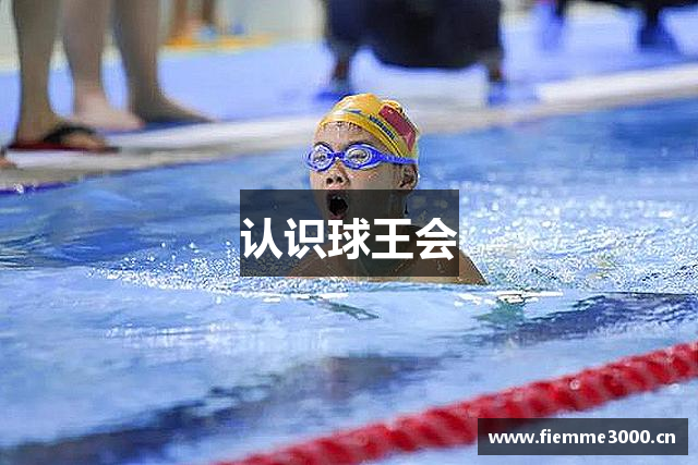 认识球王会